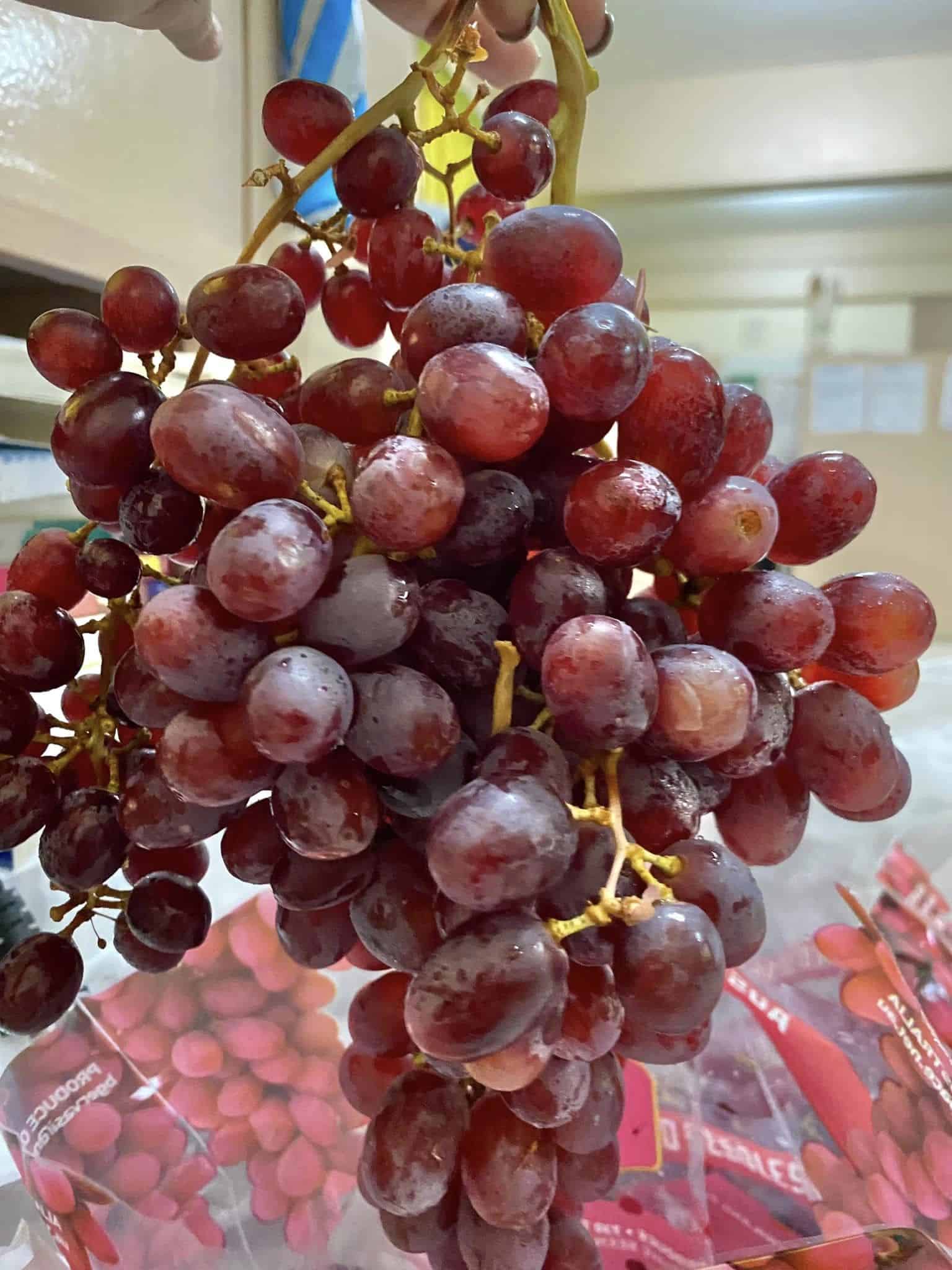 Image represents ripening grape fruits