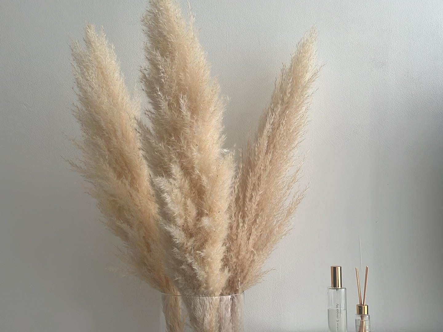 How to Fluff Pampas Grass? [9+ Decoration Tips for Aesthetics]