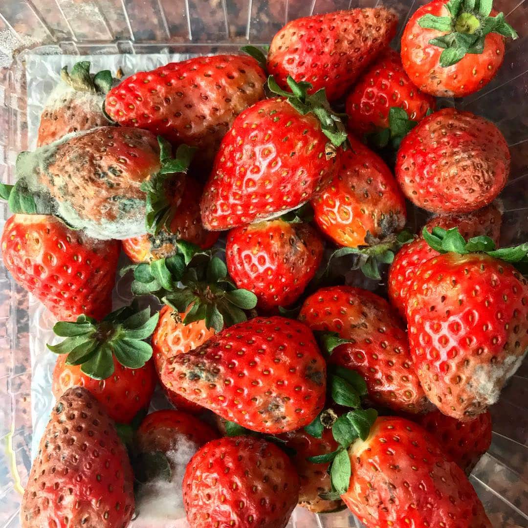 A bunch of rotten strawberries.