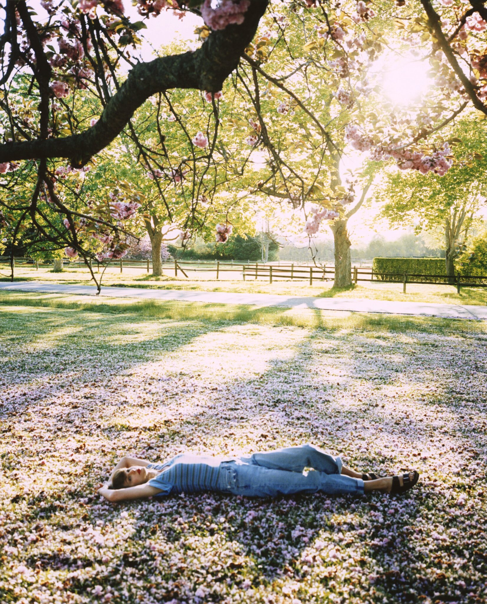 Taylor Swift Sleeping Peacefully in her garden