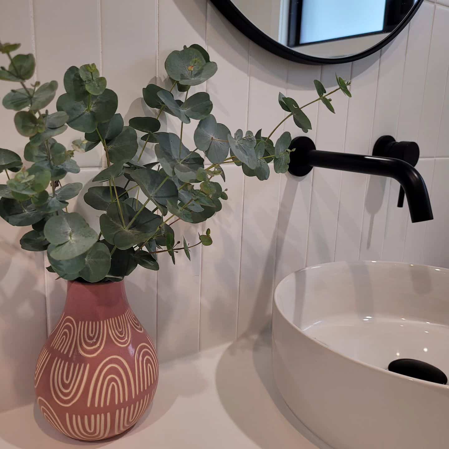 spiritual eucalyptus plant on a pot