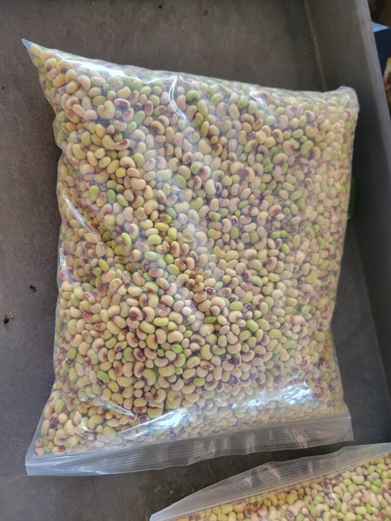 purple hull peas