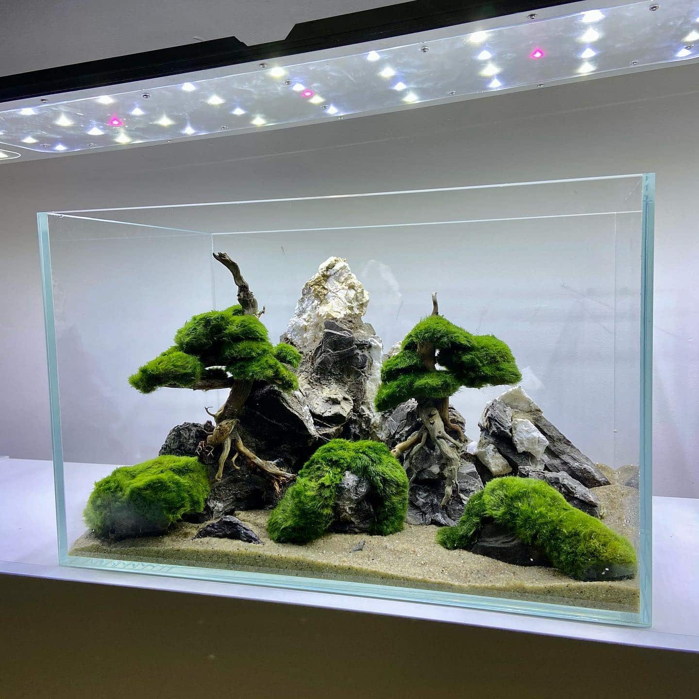 An aquarium with all the dry elements placed. 