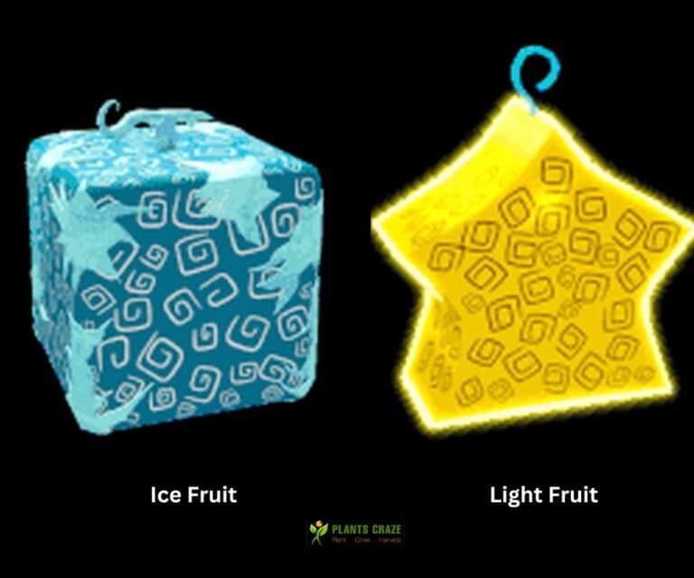 Ice Fruit Vs Light Fruit: What's The Difference?