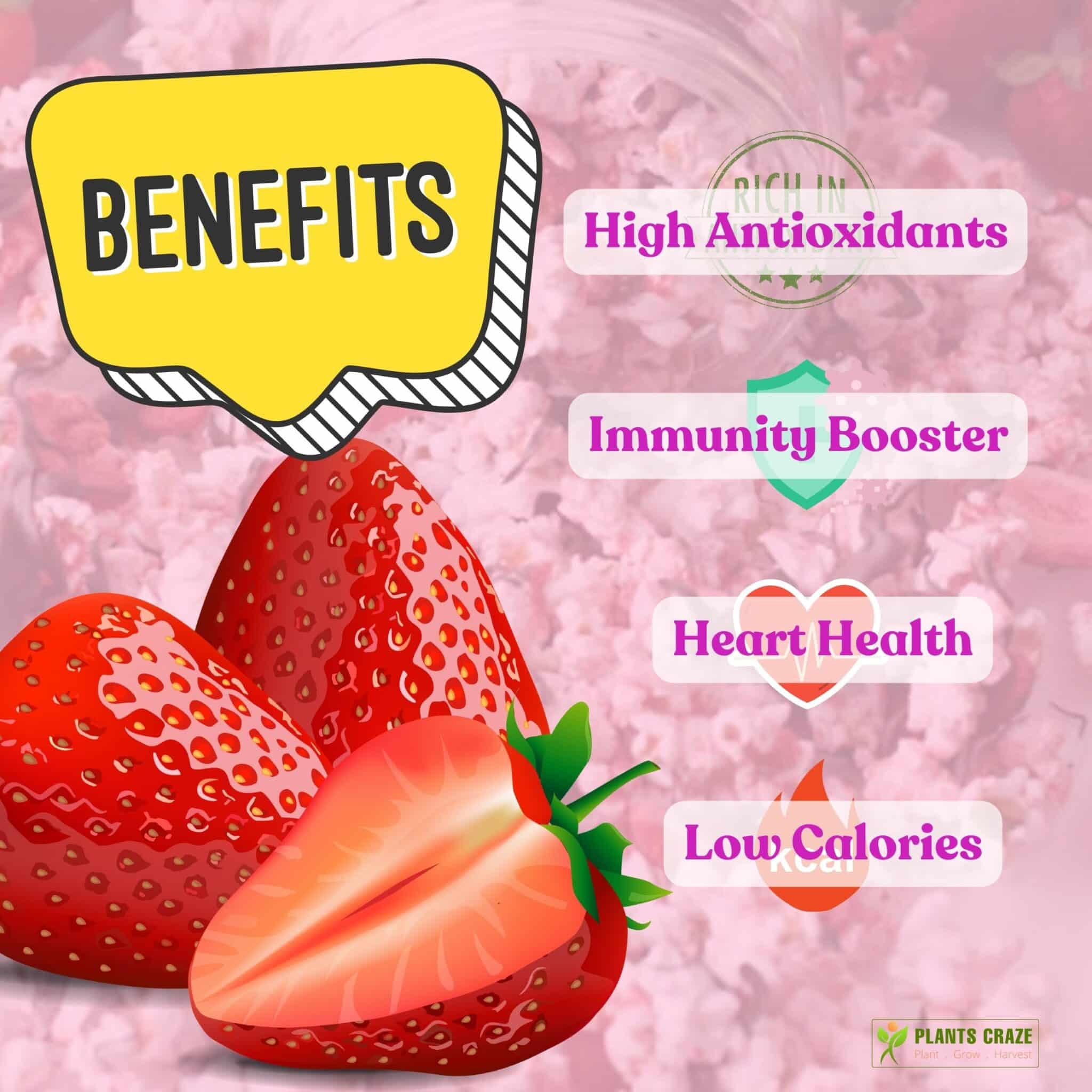 Image illustrates the benefits of Strawberries