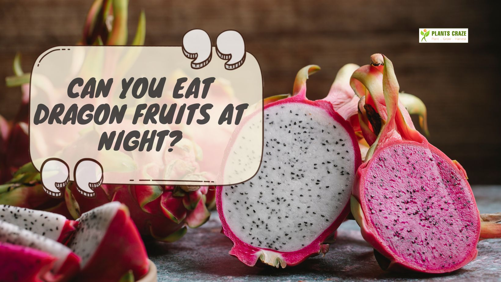 Eating Dragon Fruit At Night [A Sweet Slumbers]