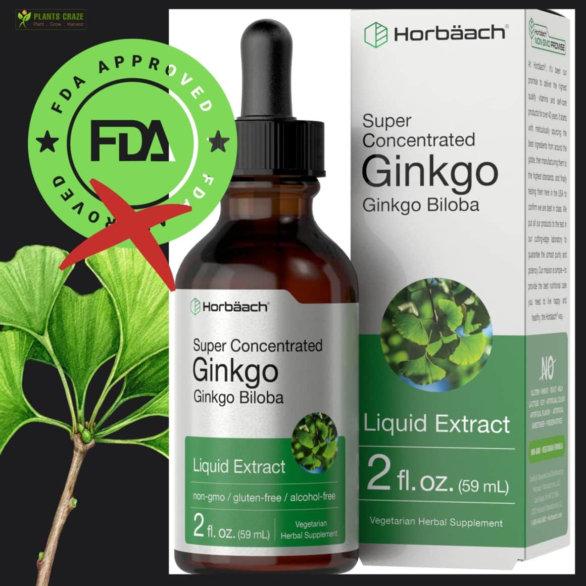 Is Ginkgo Biloba Fda Approved Are Products Safe To Use