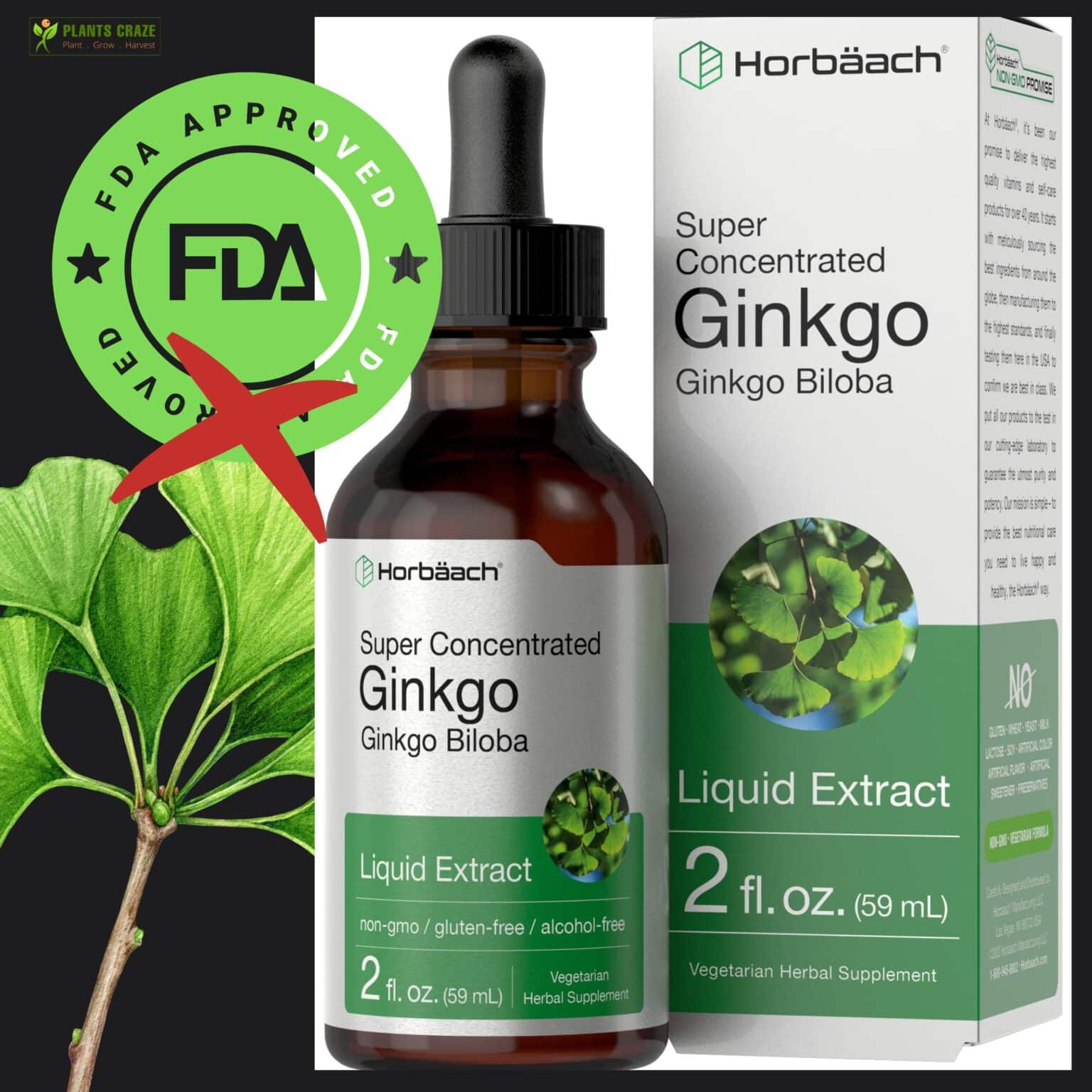 Is Ginkgo Biloba FDA Approved? [Are Products Safe To Use?]