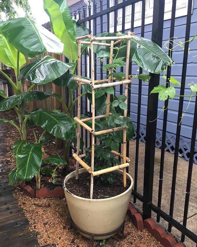 Multi level trellis with wood