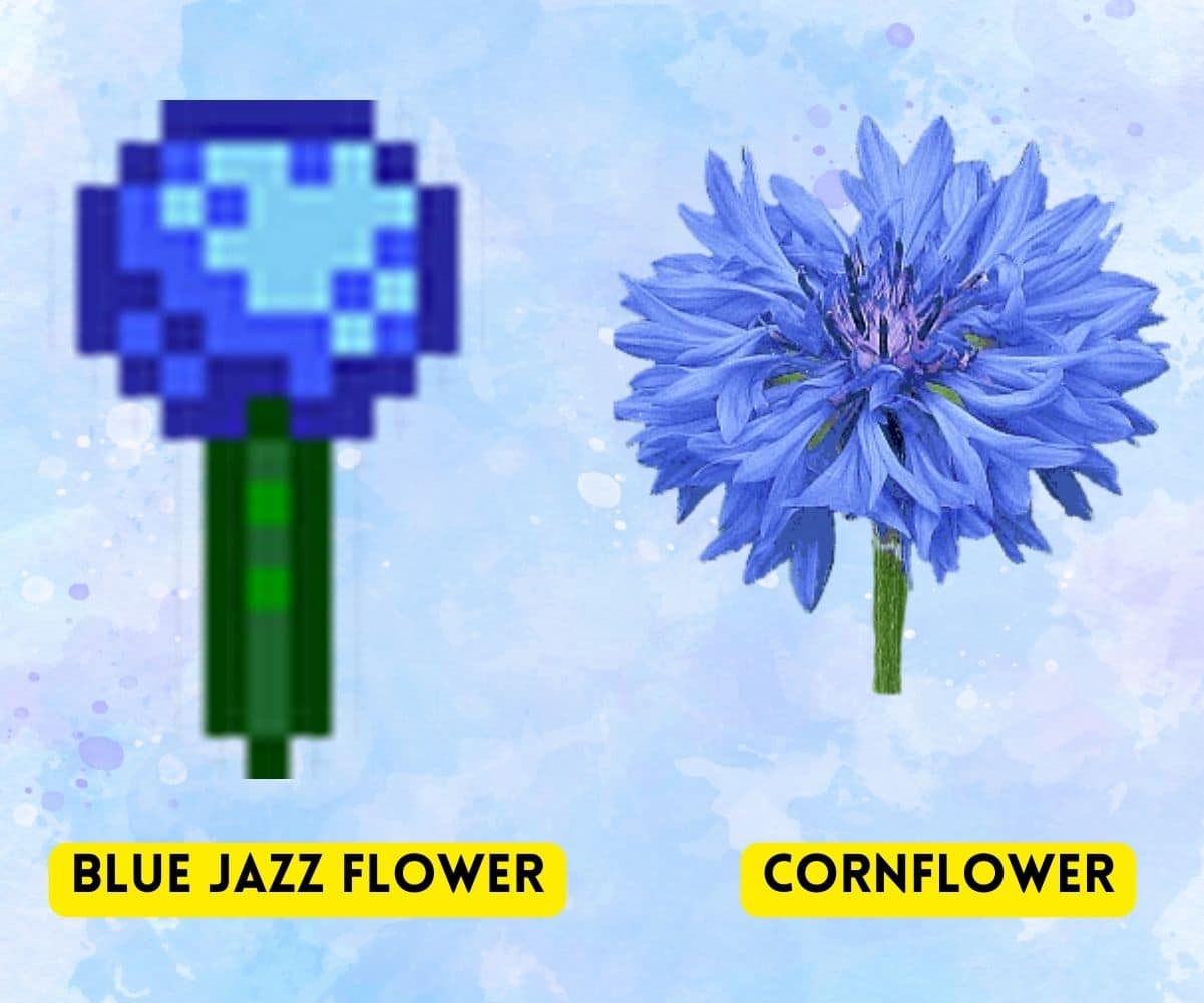 Is Blue Jazz Flower Real? Learn Top Secrets About Flower