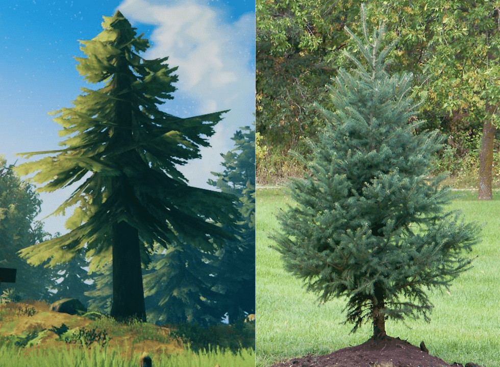 fir-tree-game-vs-real