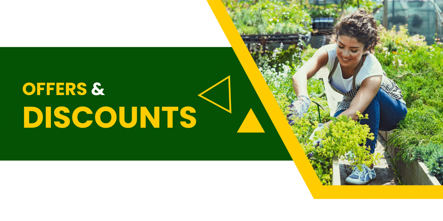 Top 5+ Kuska Plant Benefits You Need to Know