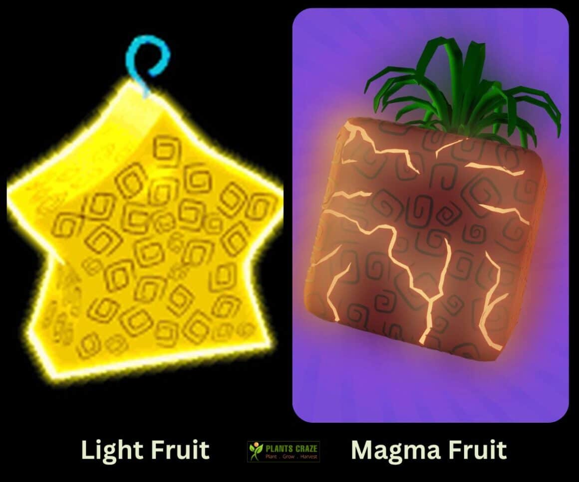 Is Light Better Than Magma Ultimate Guide For Blox Fruits