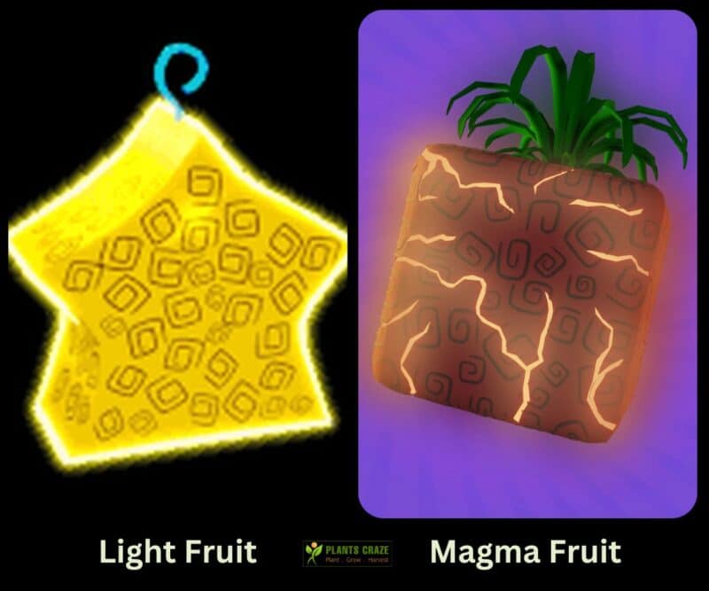 Is Light Better Than Magma? Ultimate Guide For Blox Fruits