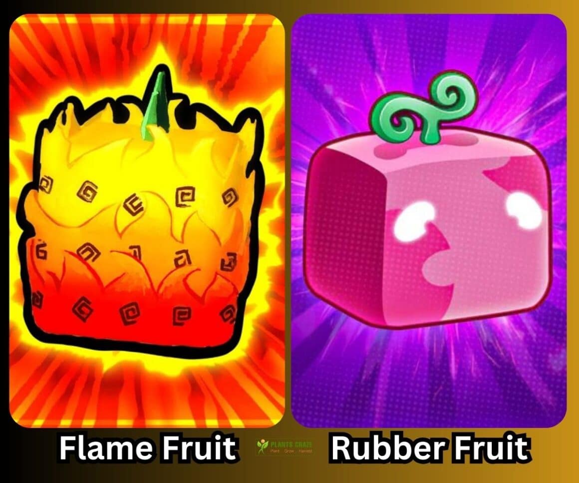 Is Flame Better Than Rubber In Blox Fruits? Guide For Beginners