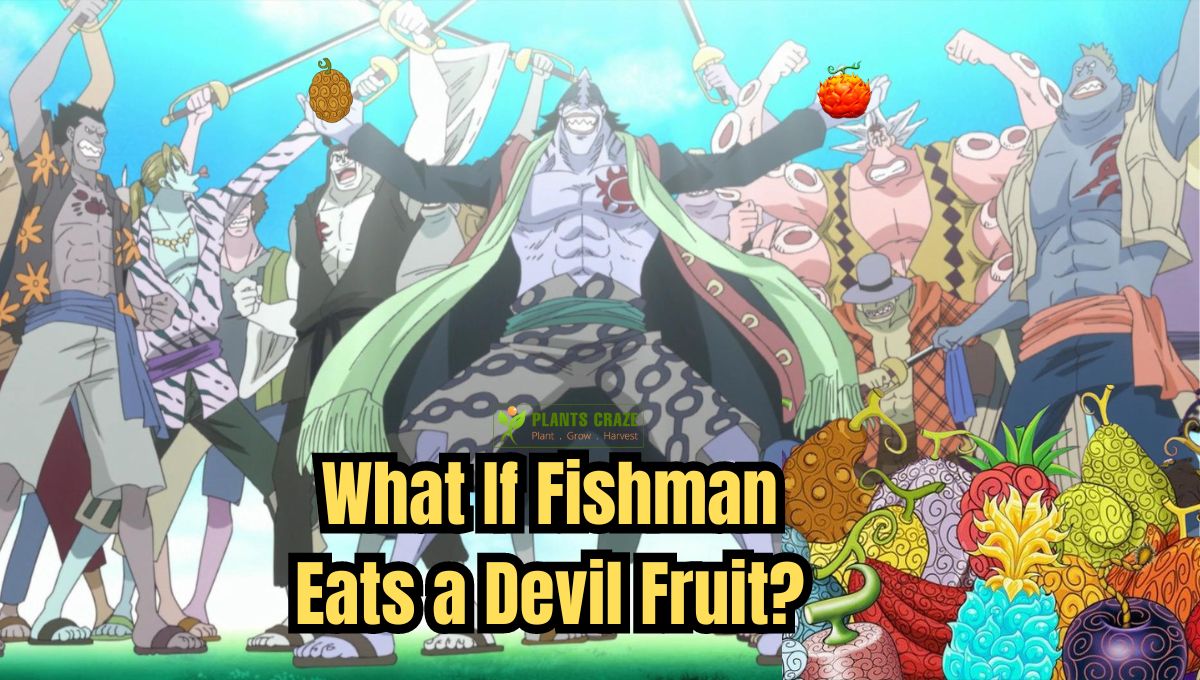 What Happens If a Fishman Eats a Devil Fruit? Queries Solved!