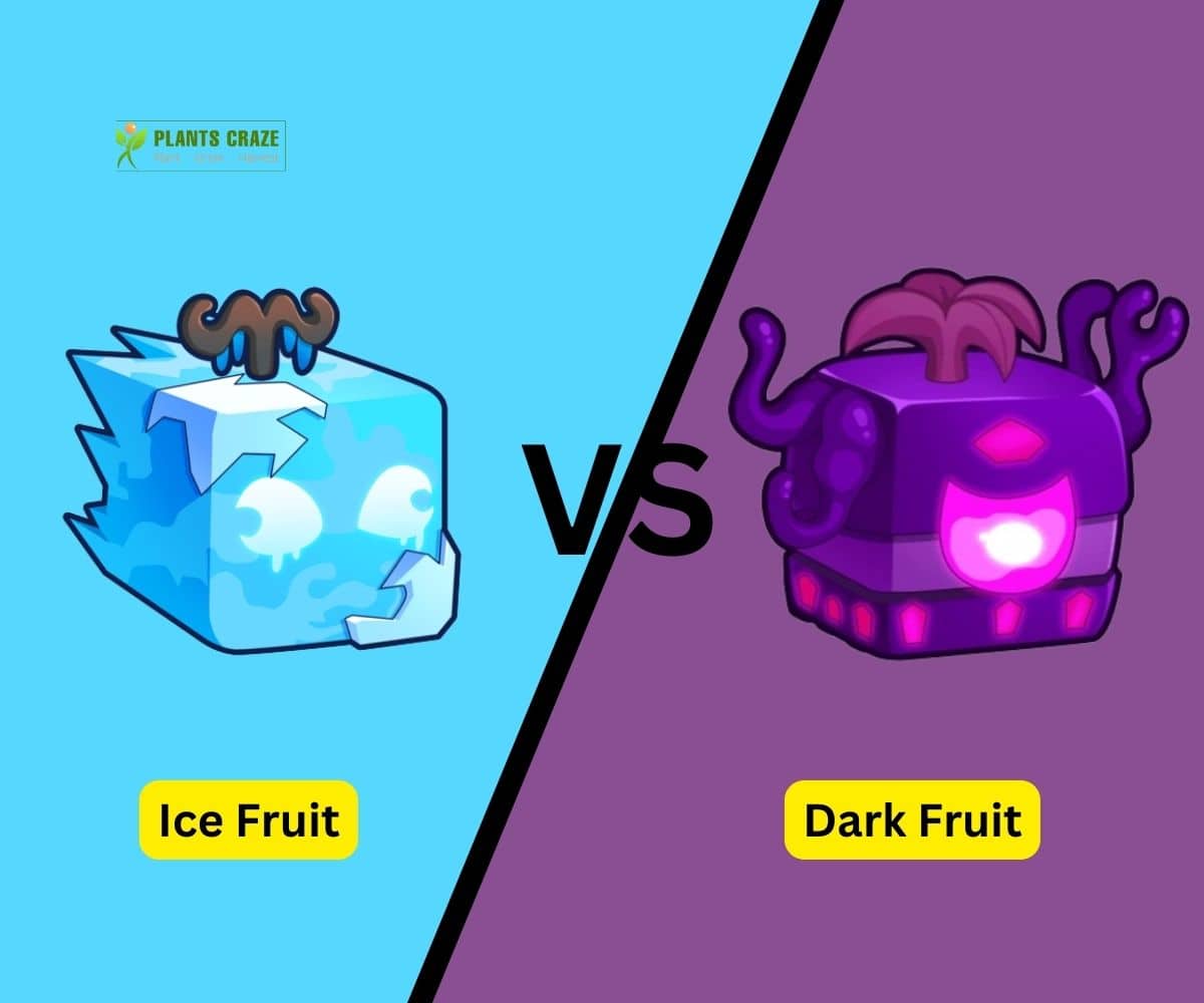 Is Ice Better Than Dark? Ultimate Guide For Blox Fruits