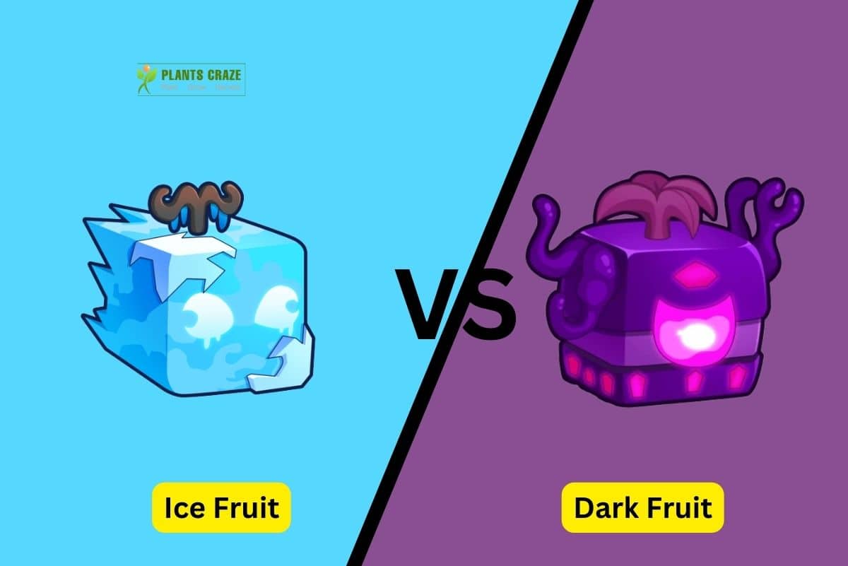 is-ice-better-than-dark-ultimate-guide-for-blox-fruits