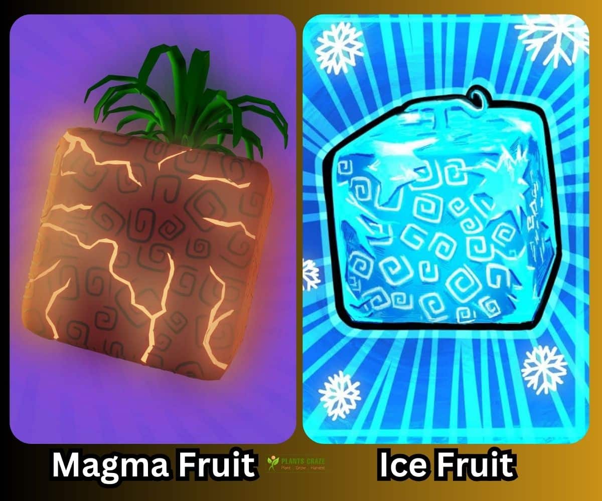 blox fruit magma vs ice