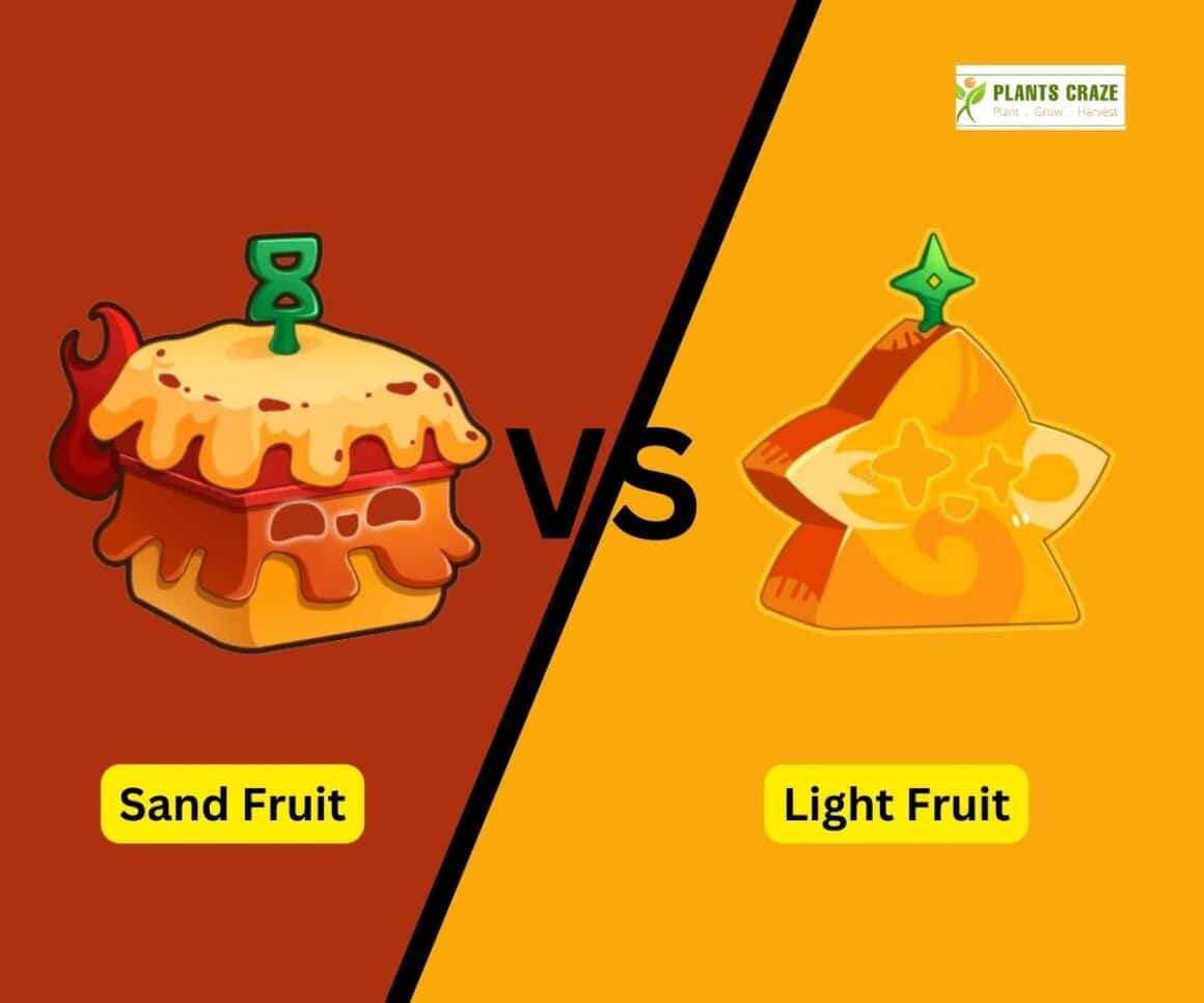 is-sand-better-than-light-ultimate-guide-for-blox-fruits