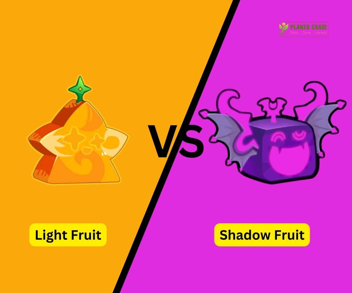 I Upgraded Shadow Fruit Powers in Blox Fruits 