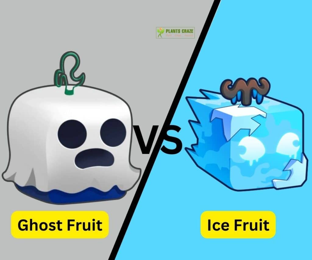 Is Ghost Fruit Better Than Ice Fruit? Guide For Beginners