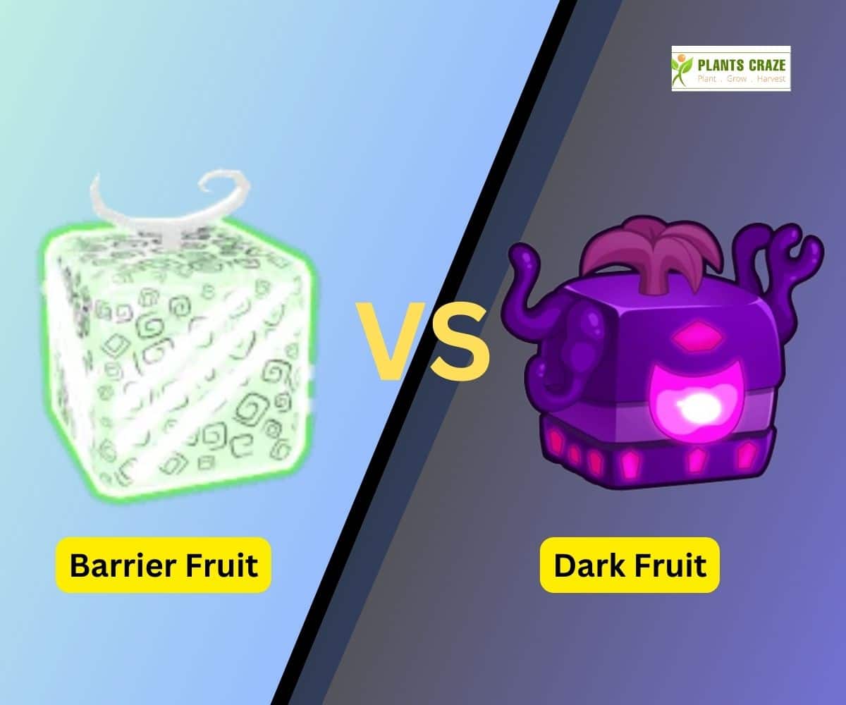 Blox fruits - Awakened Dark Combos (Easy to Hard Combos) (Update 13)