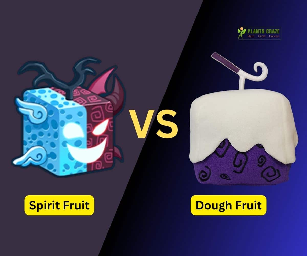 Spirit Fruit and Dough Fruit in Blox Fruits