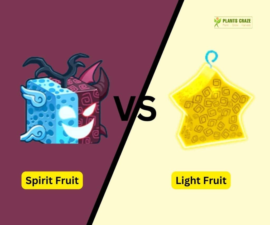 Spirit Vs Light In Blox Fruits: Ultimate Guide For Beginners