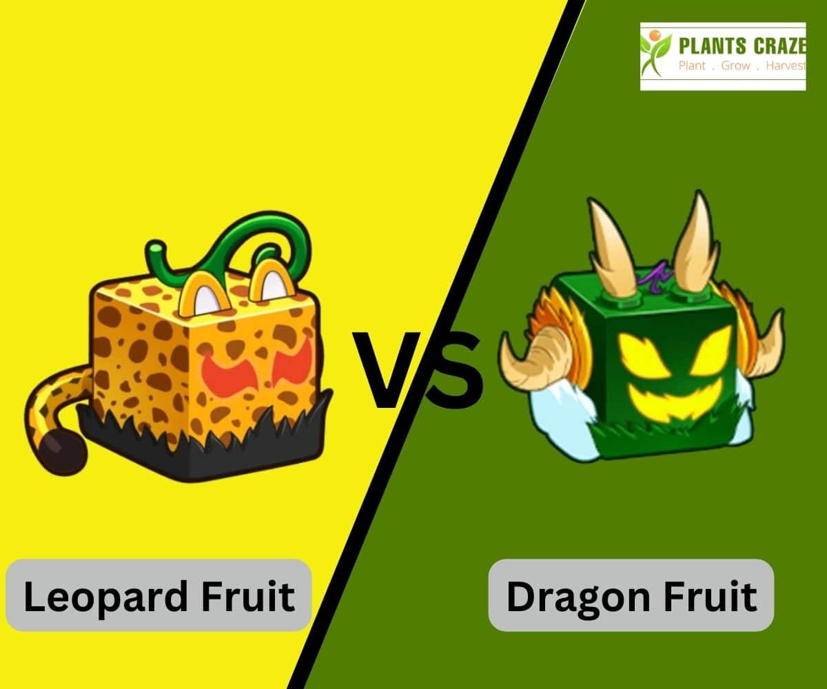 (Blox Fruit) Dragon Fruit