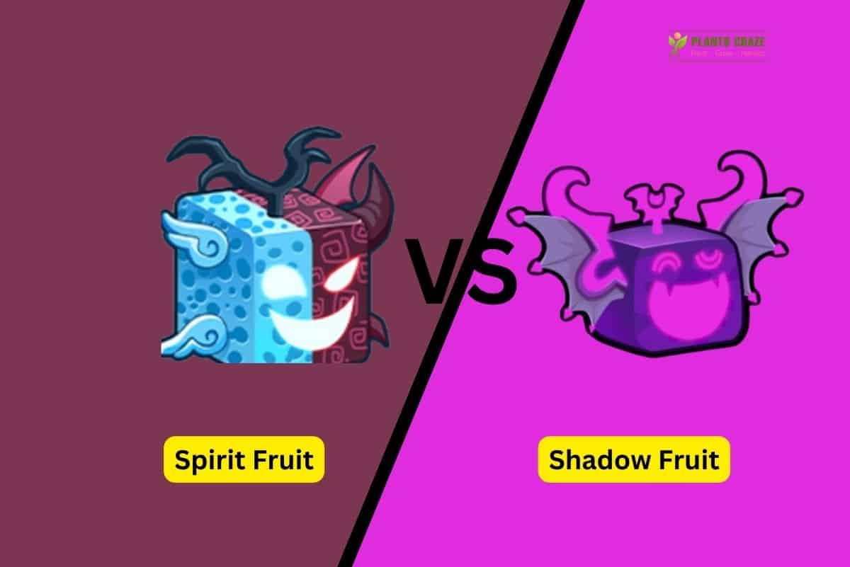 Shadow vs Control, Blox Fruits