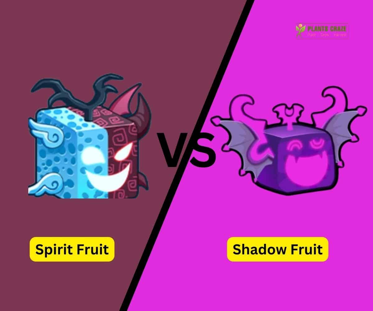 Shadow fruit blox fruits