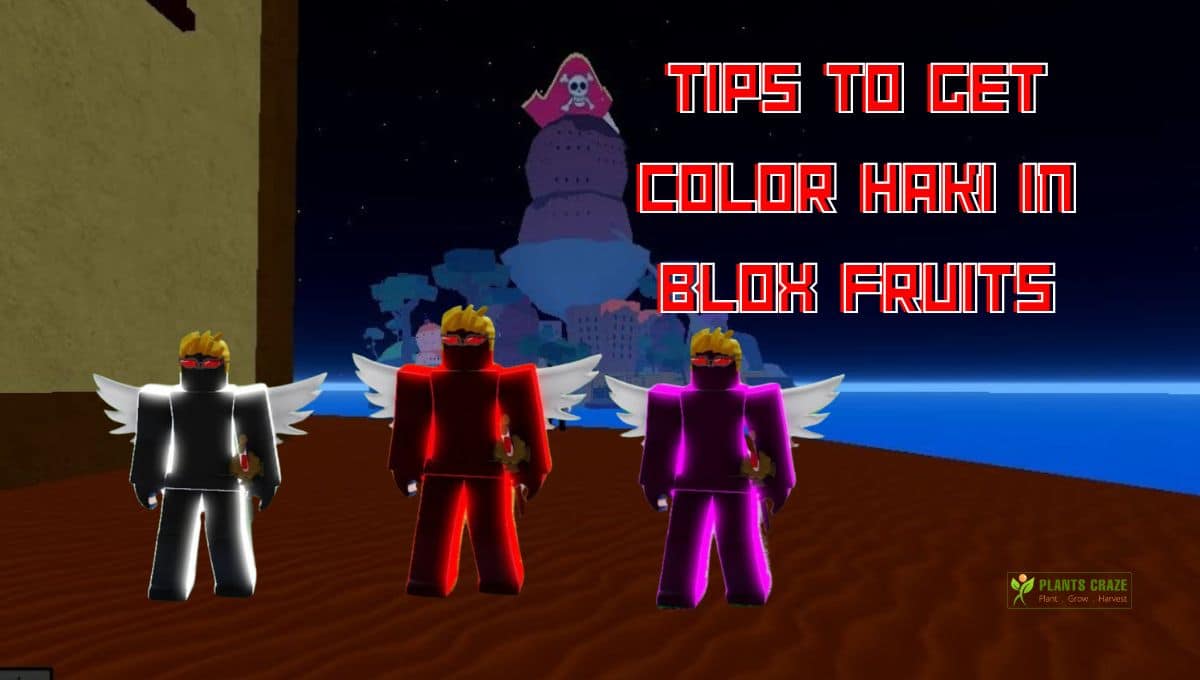 How To Get Color Haki In Blox Fruits First Sea?