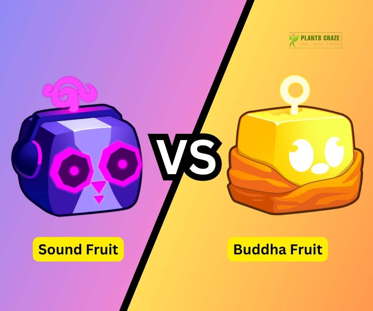 How To Get Sound Fruit in Blox Fruits